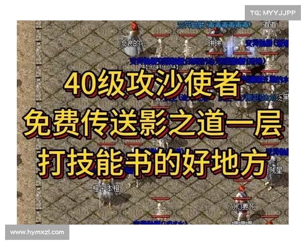 热血传奇：技能调配之道