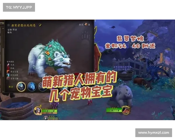 魔兽世界猎人：宝宝驯化与精准指挥